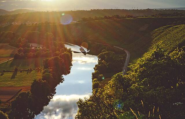 Hessigheimer Wurmberg