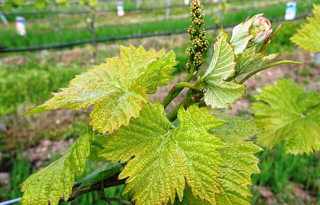 Alles neu macht der Mai