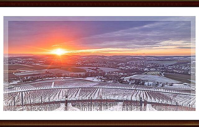Bretzfelder Weinberge 