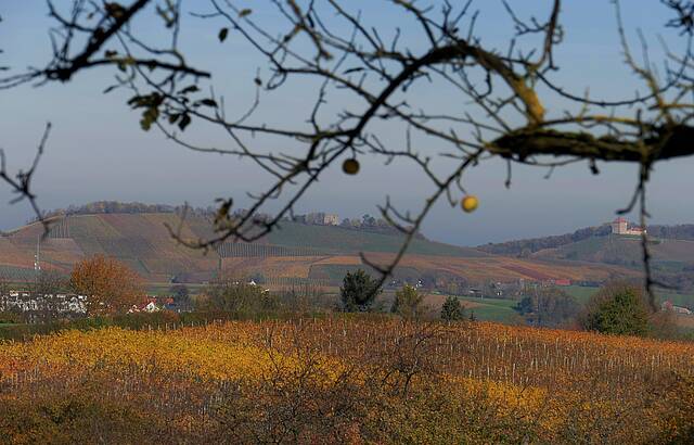 Blick auf Helfenberg
