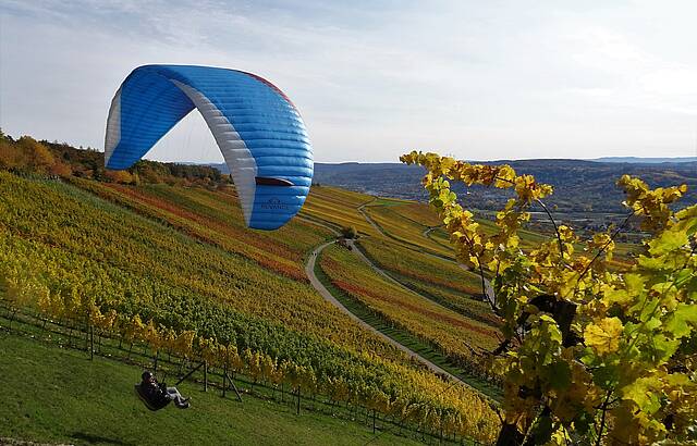 Luftsprung in den Weinberg