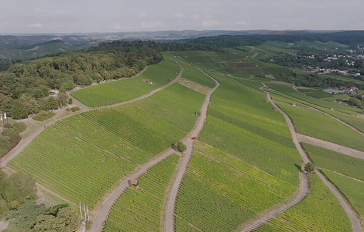 Genossenschaftskellerei Heilbronn