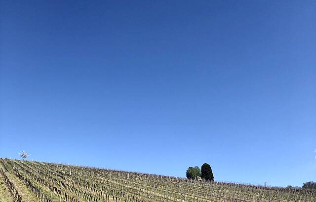 Der Sommer kann kommen 