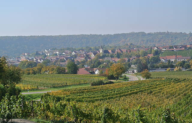 Wurmberg Hessigheim