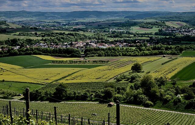Im Trollingerländle