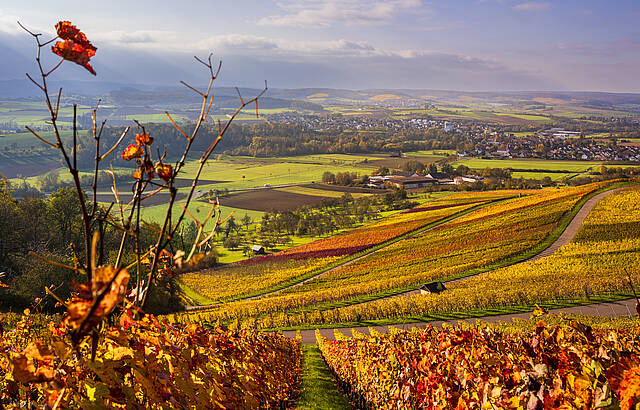 Traumhaftes Licht an einem Sonnentag oder doch Sonntag