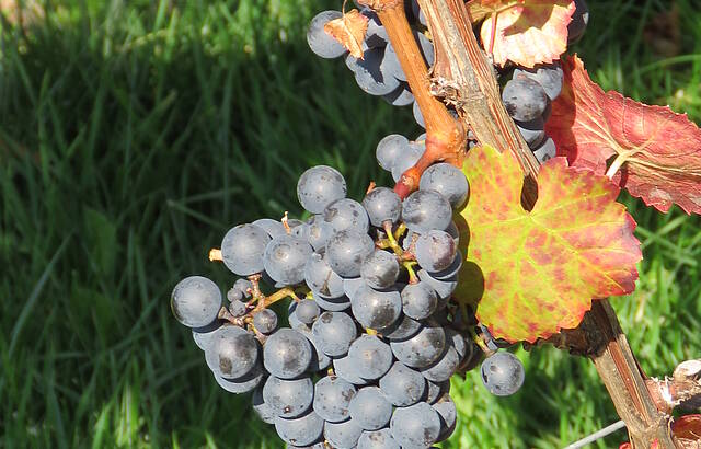 Ergebnis harter Arbeit