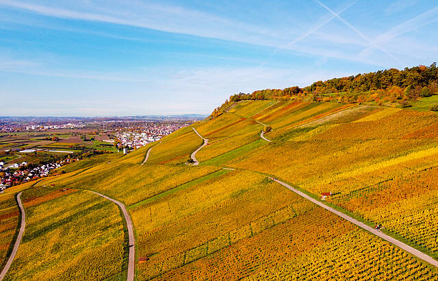 Herbstliches Remstal aus der Luft 2
