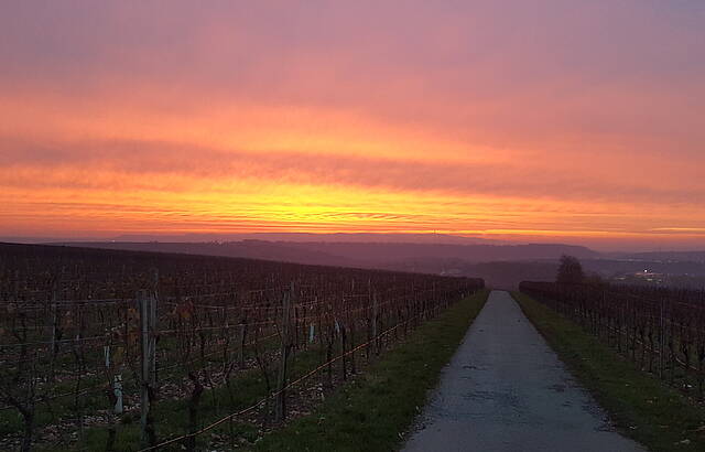 In Lauffe ischs halt schee