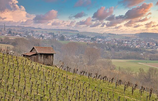 Frühlingsaussicht im Wengert