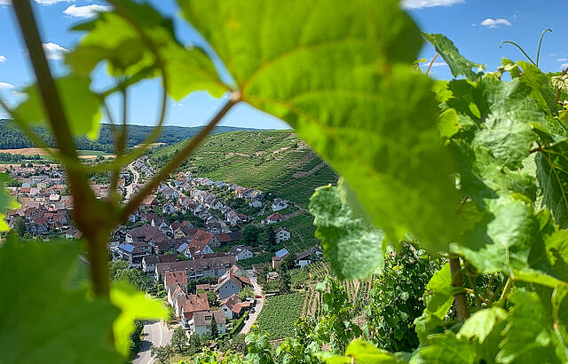 Blick auf die Rosswager Halde