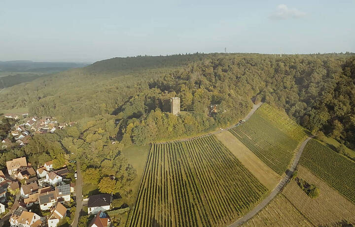 Weingärtnergenossenschaft Sternenfels eG
