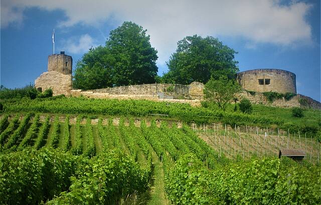 Blick auf die Burgruine Weibertreu am 27.06.2021