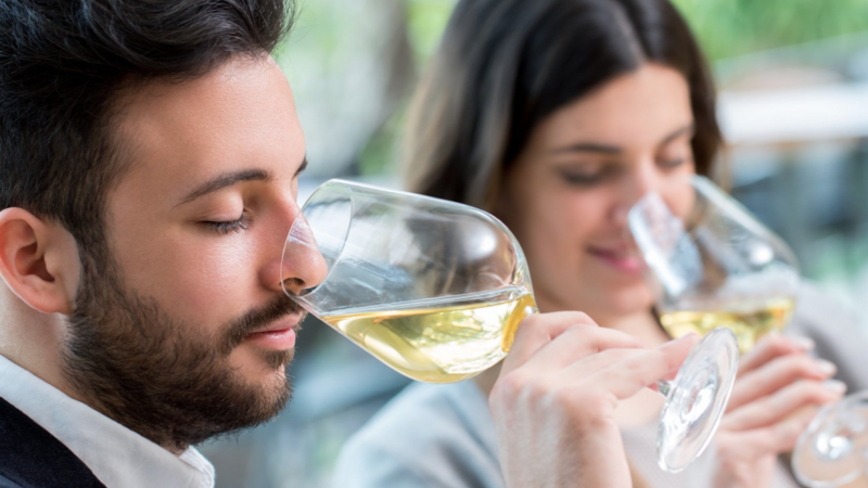 Studium Internationale Weinwirtschaft