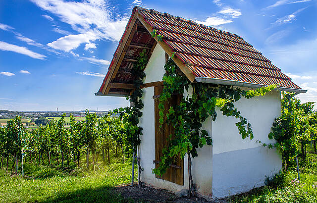 Württembergisches Wengerthäusle 