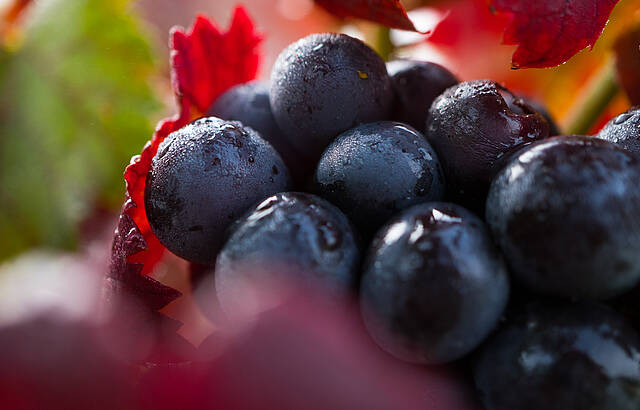 Die Farben des Herbstes!