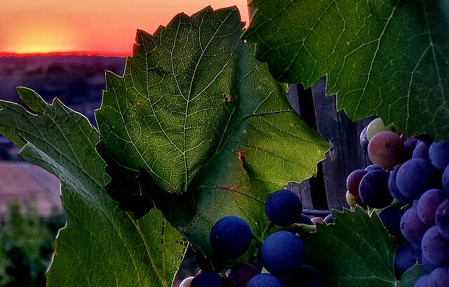 Abendstimmung im Lembergerland