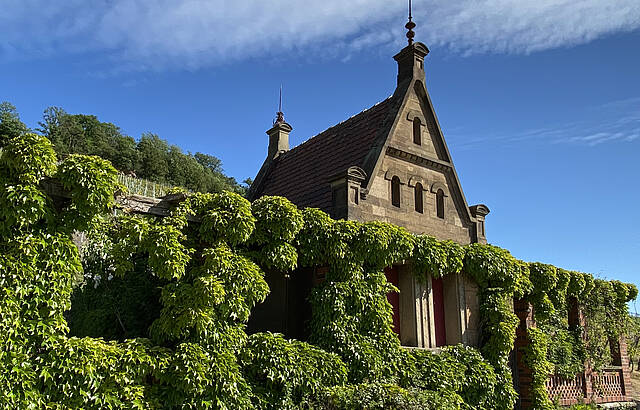 Herrschafts Wengerthaus