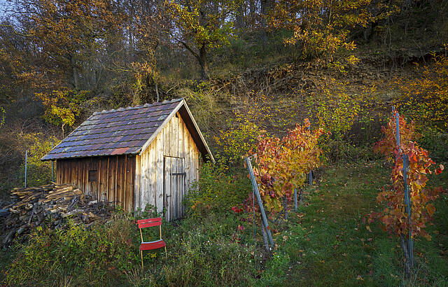 Die letzten Sonnenstrahlen in den Weinbergen genießen