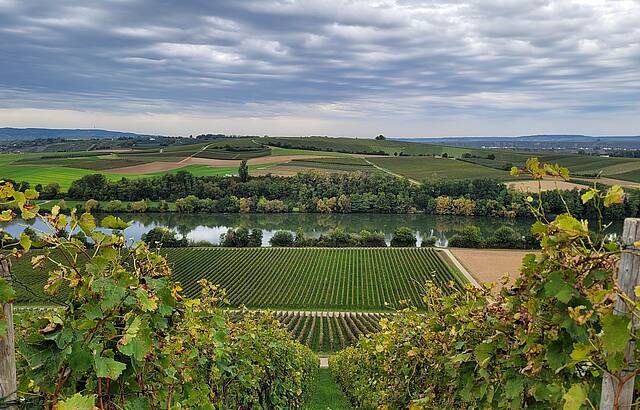 Wolkig mit Aussicht auf guten Wein