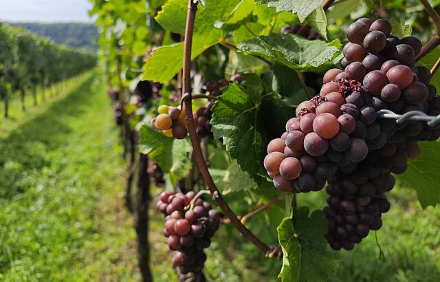 Warten gelesen zu werden