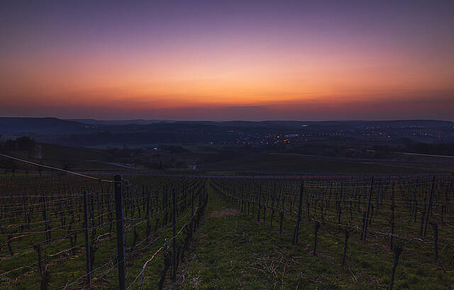 Vorfreude auf das Rebenglühen ab 7. März 2024