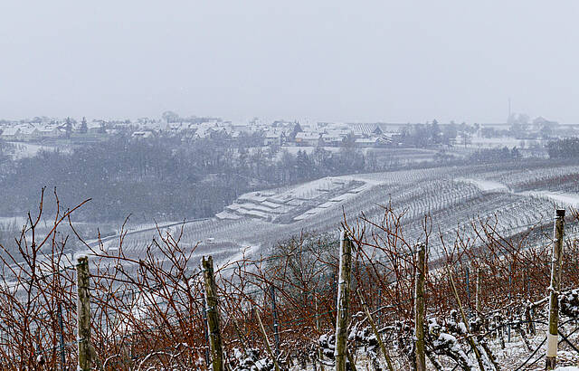 Schneefall am Morgen im alten Neckarbogen Bönnigheim