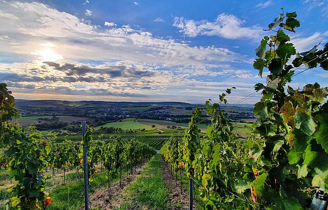 Heimatliebe Hohenlohe