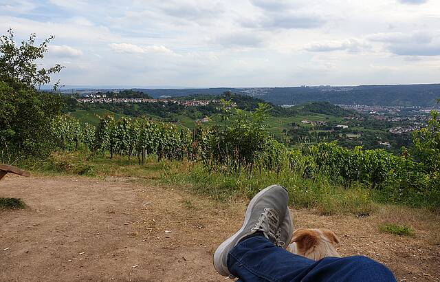 Der Zauber des Kappelberg