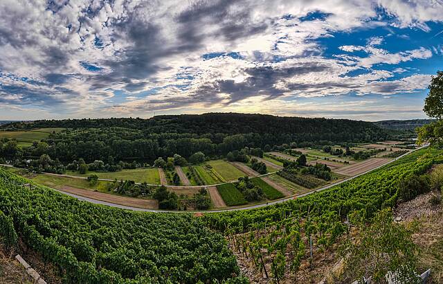 Aussicht vom Mundelsheimer Mühlbächer