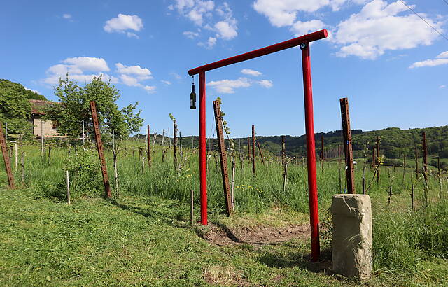 "Chinesisches" "Japanisches Tor" in den Weinberg