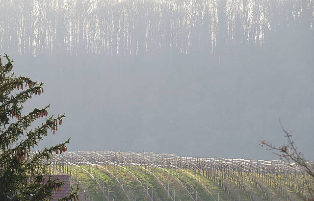 Warten auf den Winter