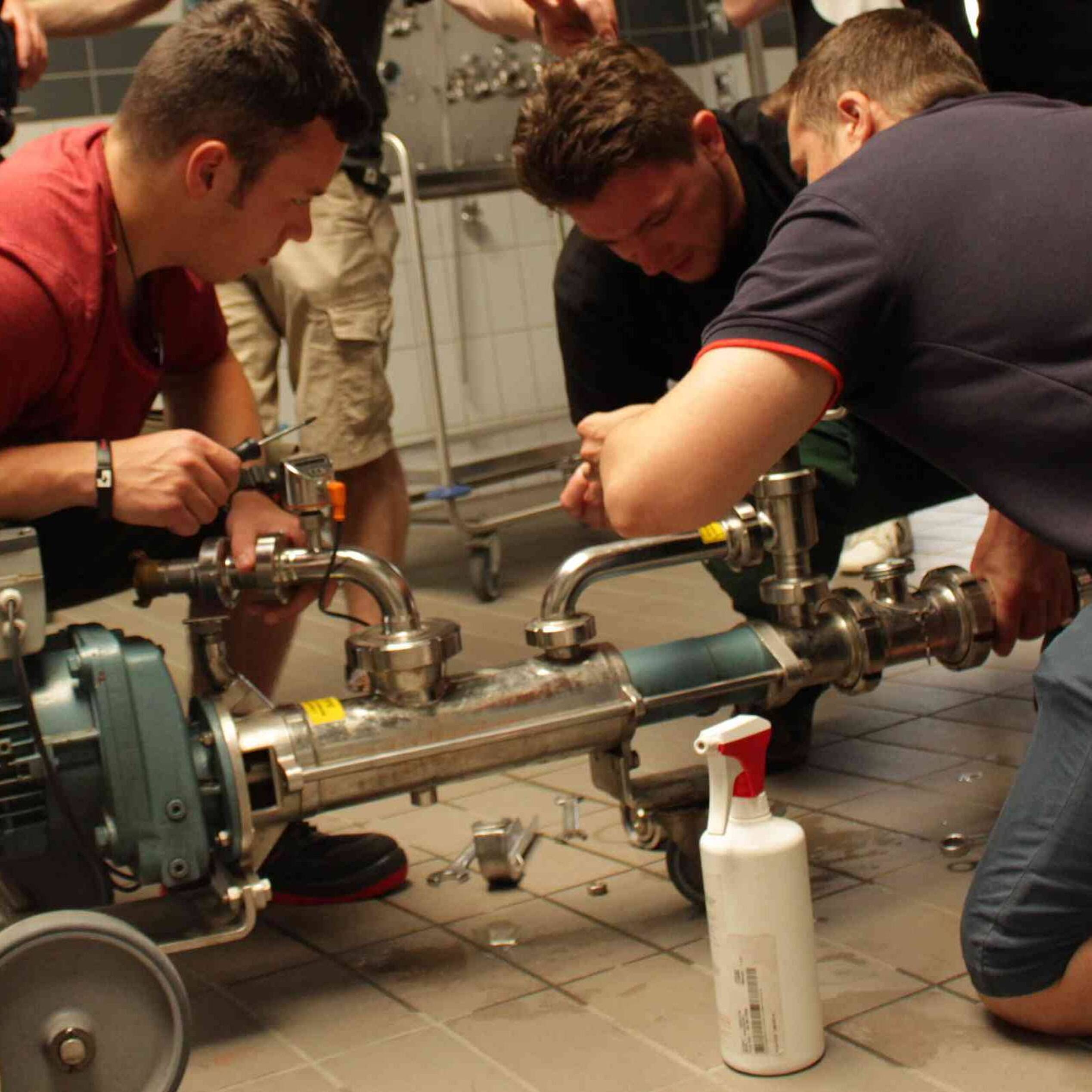 Foto: Staatliche Lehr- und Versuchsanstalt für Wein- und Obstbau Weinsberg