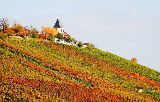 Michaelsberg im Herbst