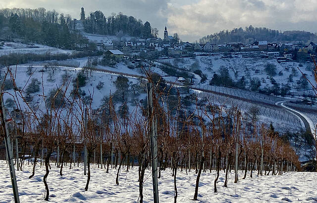 Löwenstein /  Schnee / Weinberge