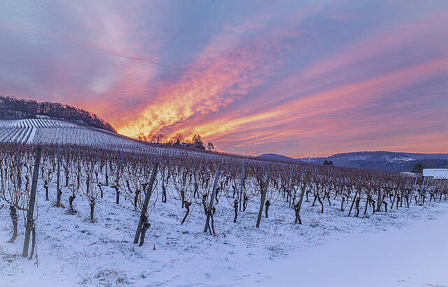 Wenn der Himmel über dem Weinberg brennt!