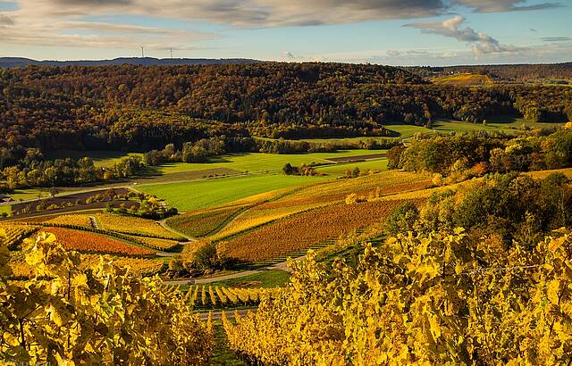 Herbst bedeutet Farbe