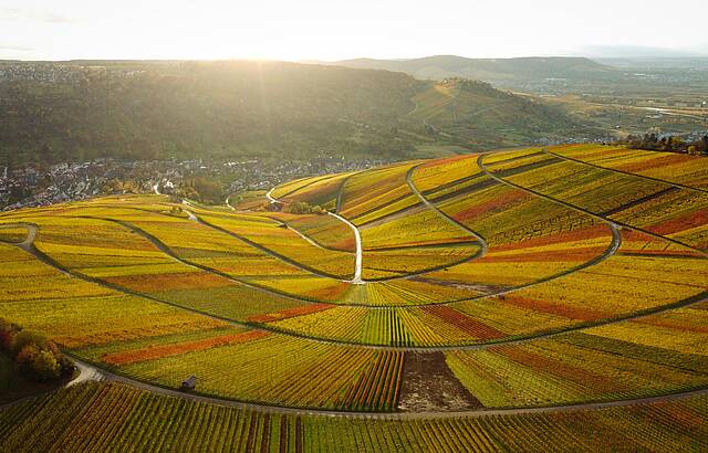 Schnaiter Herbstlaub 1