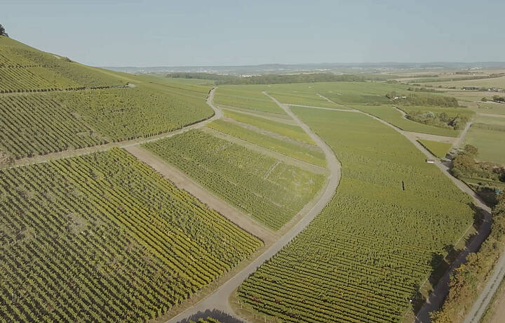 Weinkonvent Dürrenzimmern eG