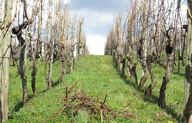 Noch ein Haufen Arbeit