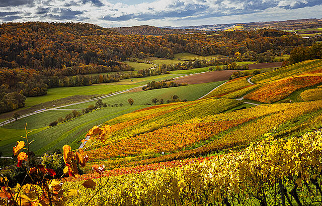 Wenn ich mit der Sonne um die Wette strahle ...