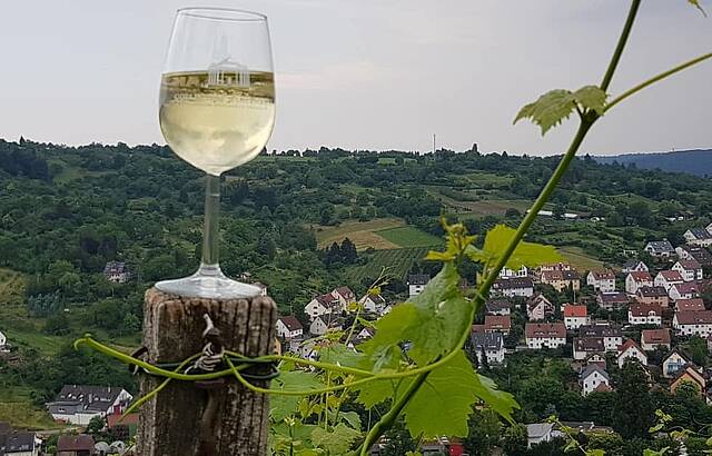 Weingenuss in den Weinbergen