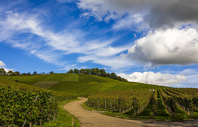 Ade Septemberg - Willkommen Oktober 2024