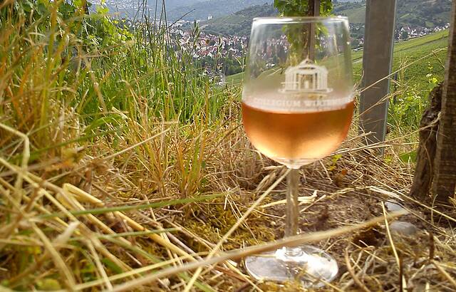 Weinwandertag am Götzenberg