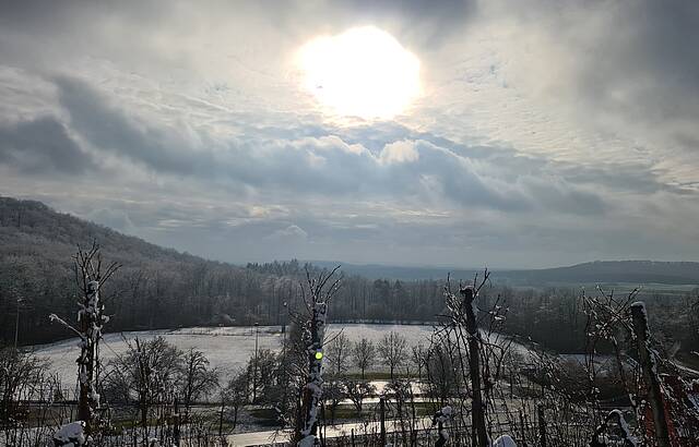 Sternenfelser König im Eis