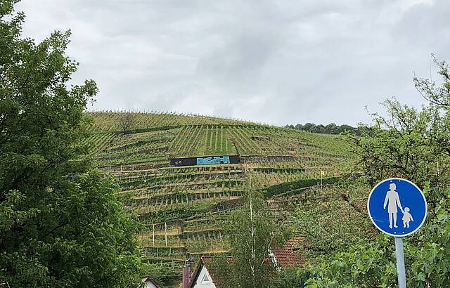 Wandern in den Weinbergen