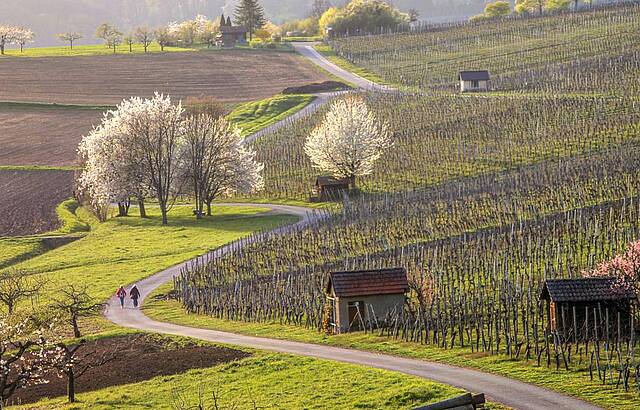 Frühlingslandschaft