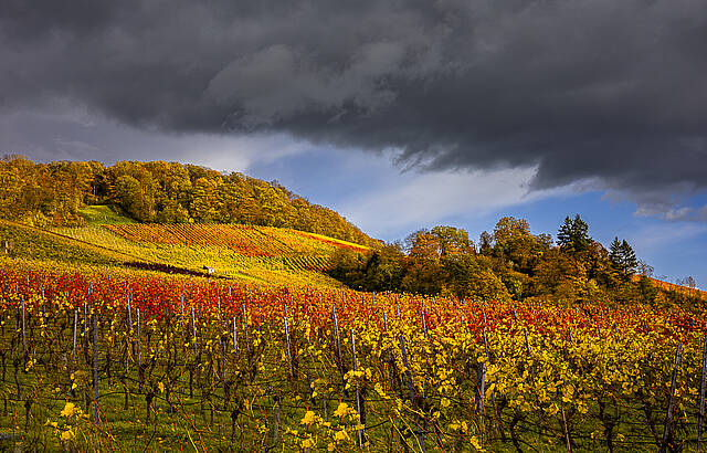 Wenn sich ein Gewitter ankündigt