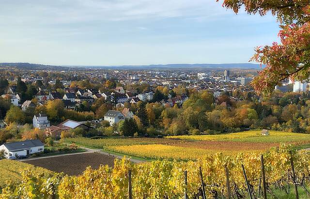 "Trollingerhauptstadt Heilbronn