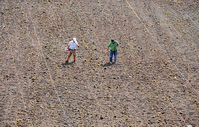 Am Anfang war die Arbeit...